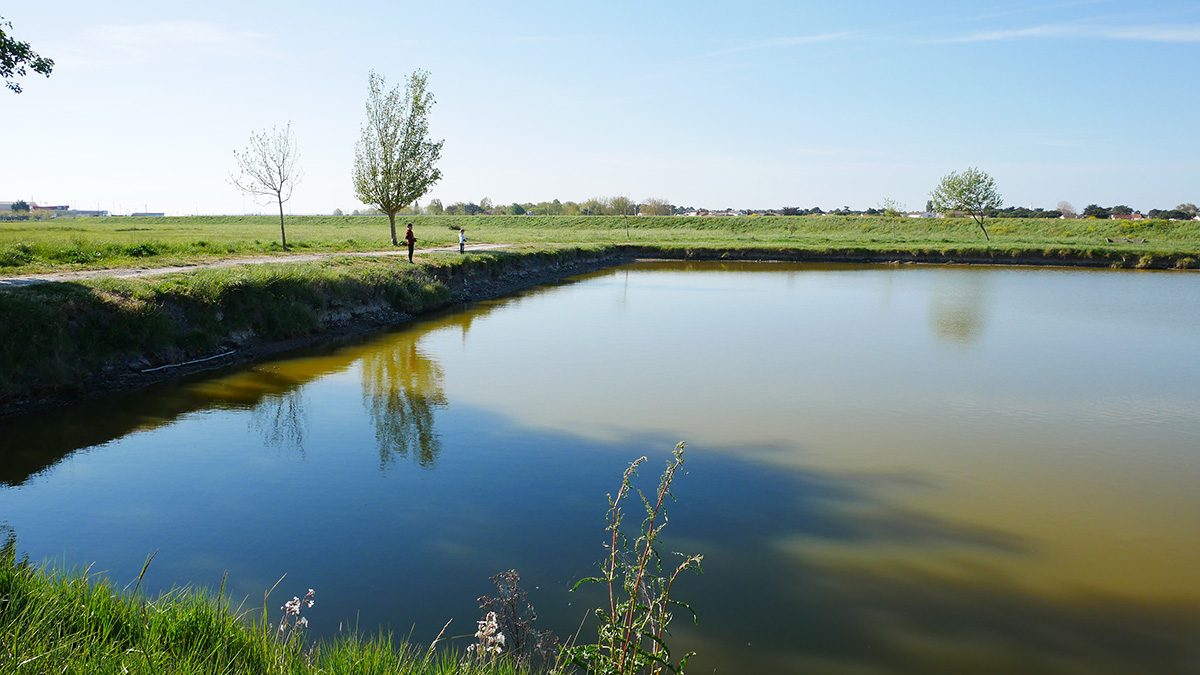 étang de pêche site