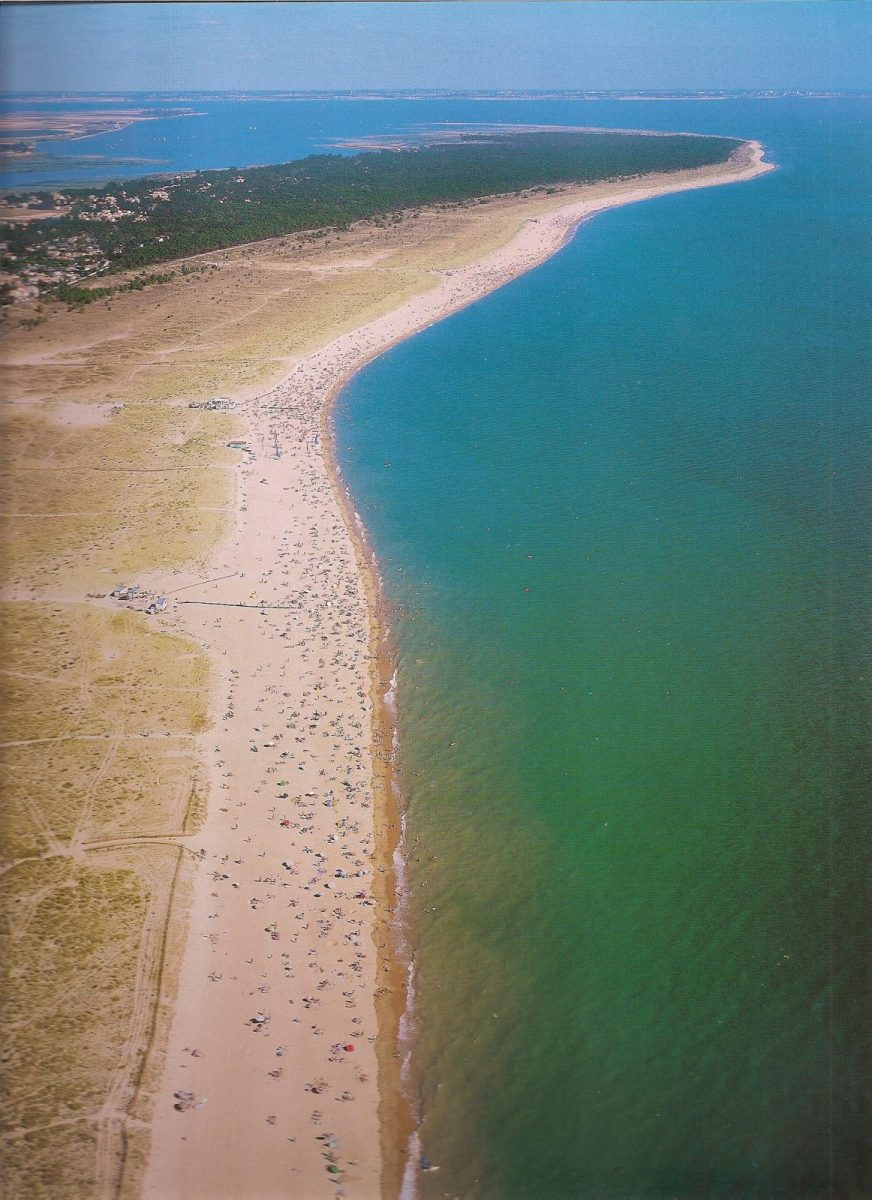 fb2c48e8-c672-4ad9-a3e1-42a9daf07046