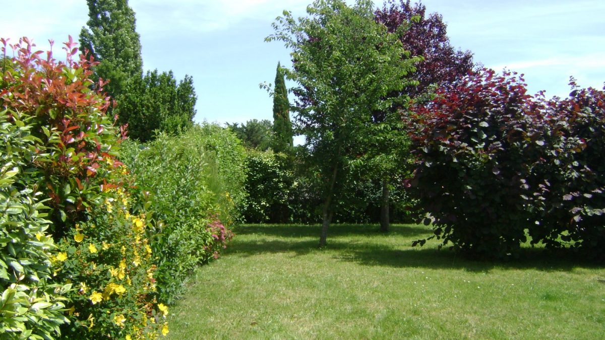 jardin-ete-location