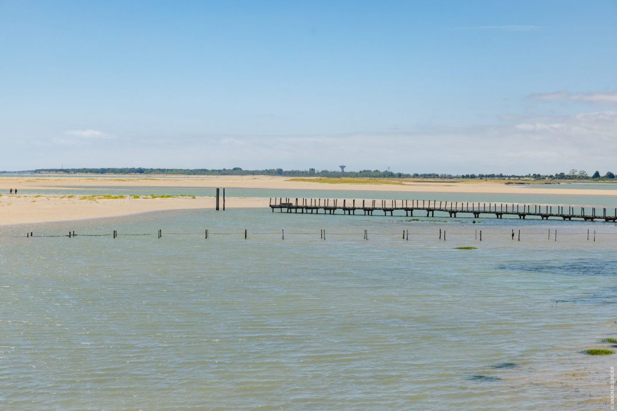 vendee_du_sud_23062025_sbourcier_387