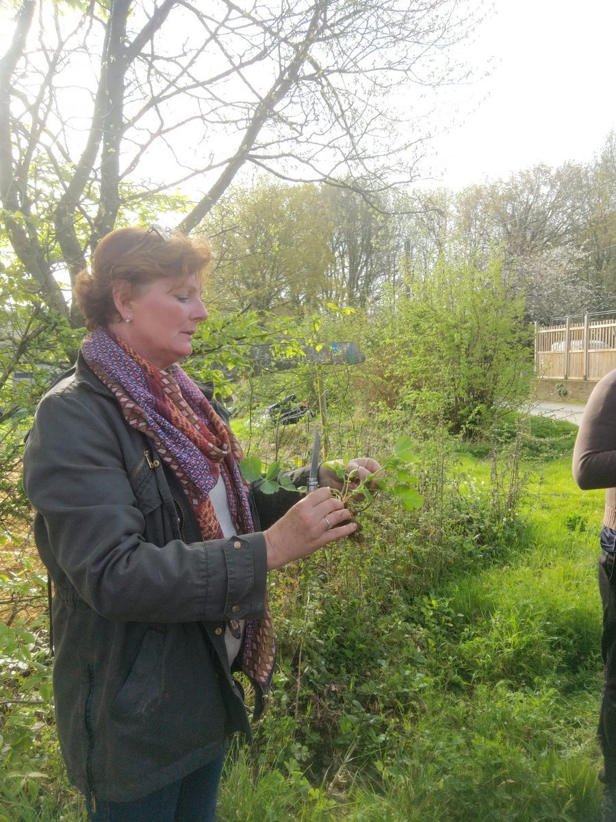 visite MFR St michel6