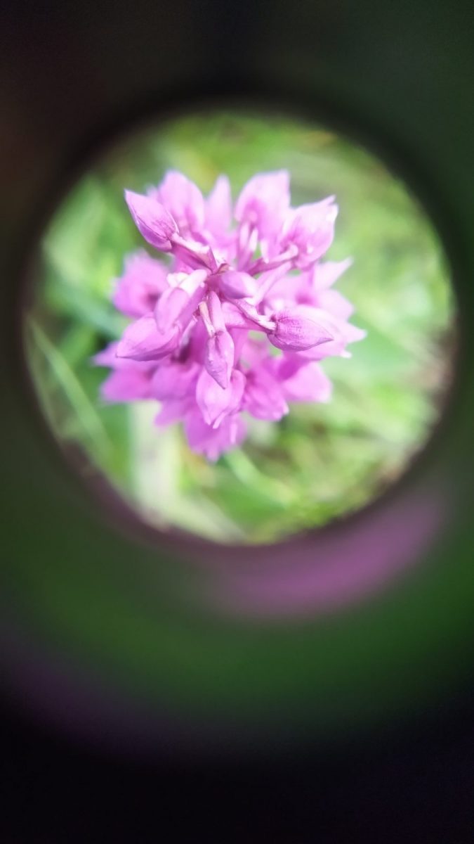 visite MFR St michel8